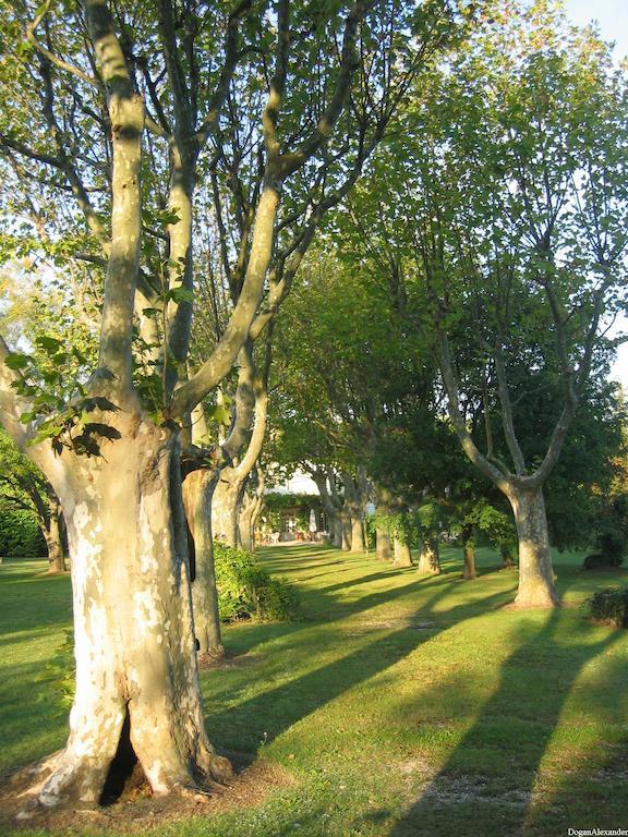Demeures Et Chateaux Hotel L'Hermitage Pernes-les-Fontaines Bagian luar foto